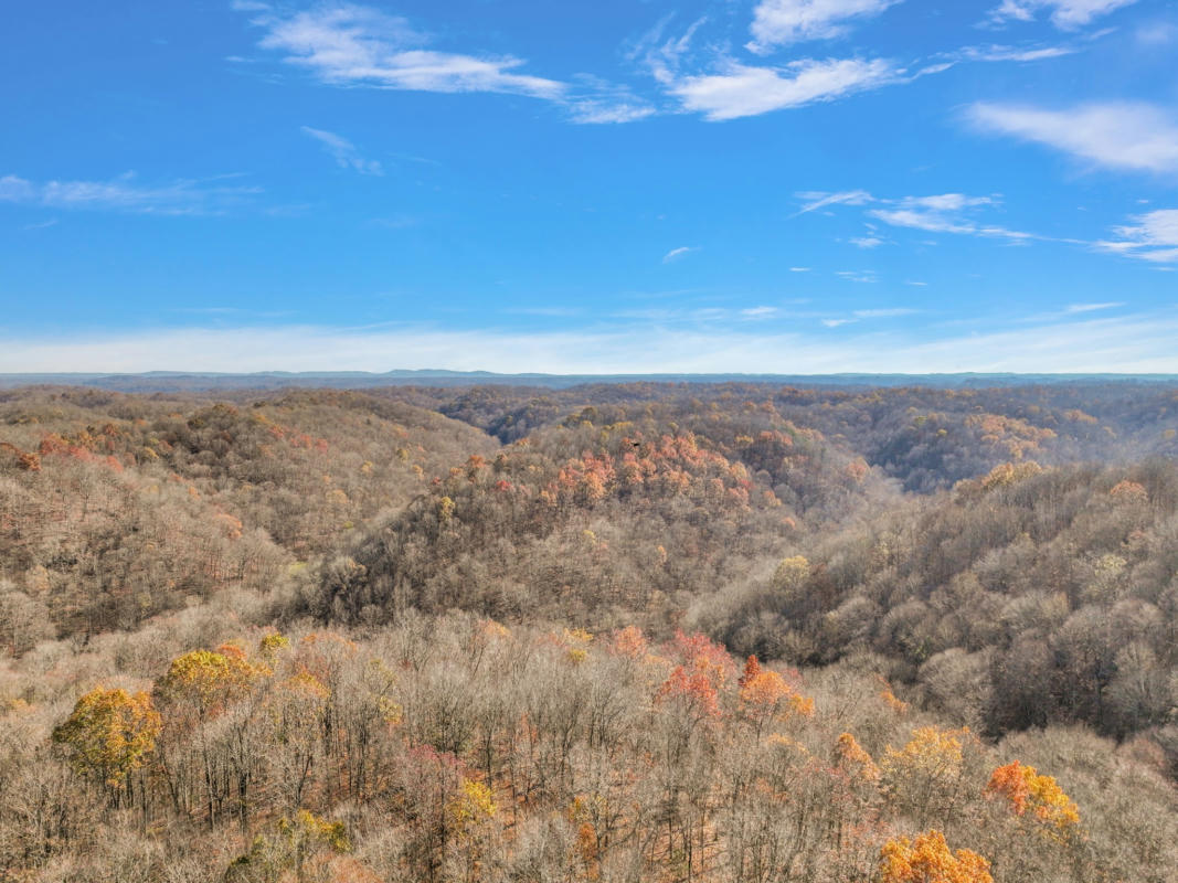 0 N OF KNOB CREEK ROAD, CELINA, TN 38551, photo 1 of 70