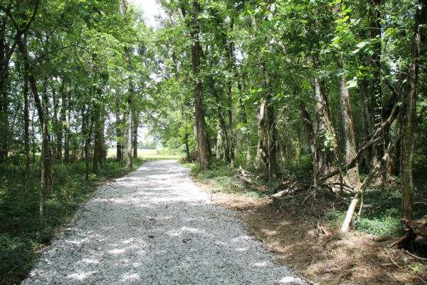 0 BASS RD TRACT 7, BETHPAGE, TN 37022 - Image 1