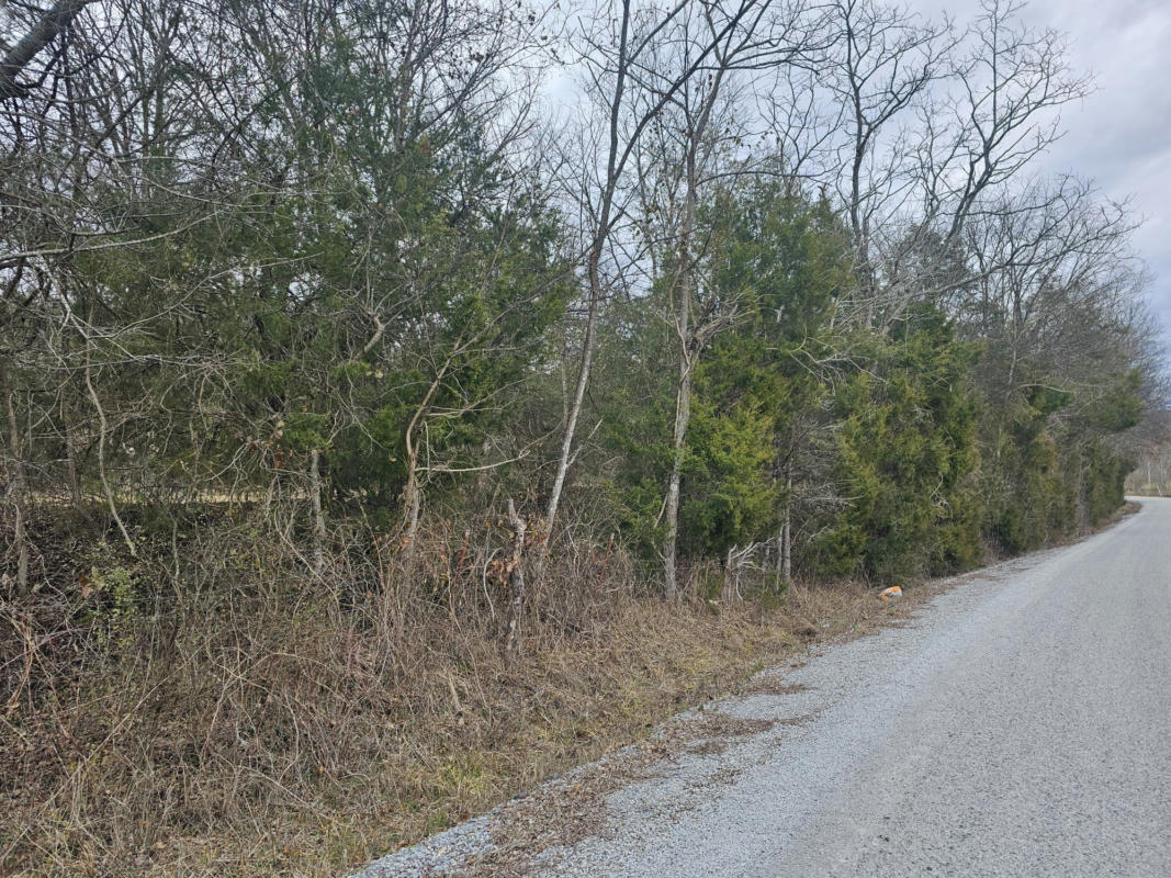 1 LOVE BRANCH RD TRACT 1, HAMPSHIRE, TN 38461, photo 1 of 10