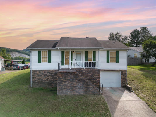 206 CUMBERLAND COVE DR, CARTHAGE, TN 37030 - Image 1