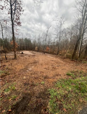 1 FOREST TRL, BUMPUS MILLS, TN 37028 - Image 1