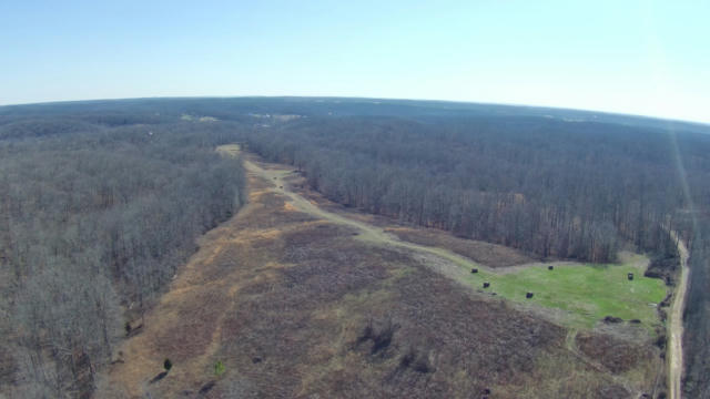 0 SHOALS BRANCH RD, PRIMM SPRINGS, TN 38476 - Image 1