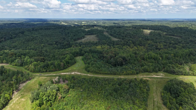 0 FREEDOM RIDGE, INDIAN MOUND, TN 37079 - Image 1