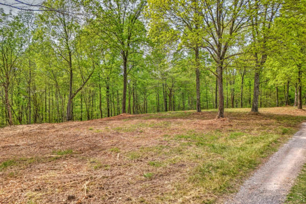 0 RBK LANE, BETHPAGE, TN 37022 - Image 1