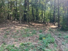 0 SHELTER BRANCH ROAD, CHARLOTTE, TN 37036, photo 1 of 6