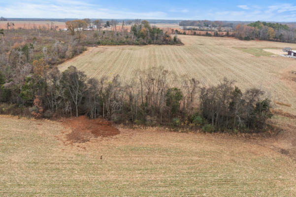 0 OWL HOLLOW RD TRACT 2, BELVIDERE, TN 37306, photo 4 of 15