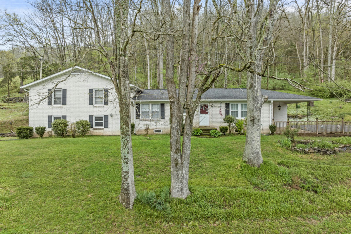 334 WARTRACE HWY, PLEASANT SHADE, TN 37145, photo 1 of 38