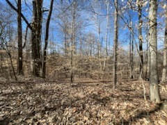 0 OLD TOBACCOPORT RD, BUMPUS MILLS, TN 37028 - Image 1