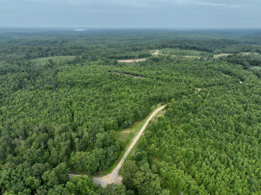 0 SCARBROUGH HOLLOW RD, TENNESSEE RIDGE, TN 37178 - Image 1