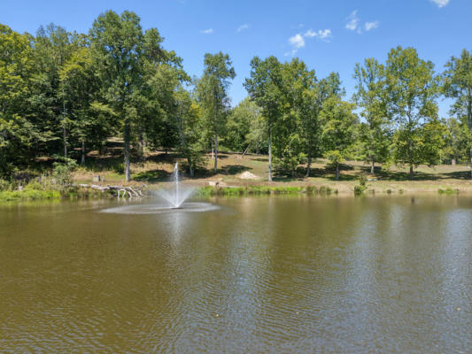 3 RIVERS DRIVE, HURRICANE MILLS, TN 37078 - Image 1