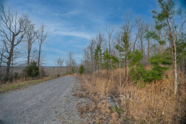 0 AMERICAN WAY, STEWART, TN 37175 - Image 1