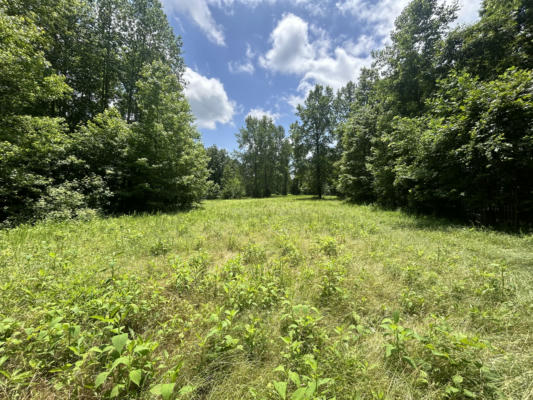 0 DRY PRONG RD, MULBERRY, TN 37359 - Image 1