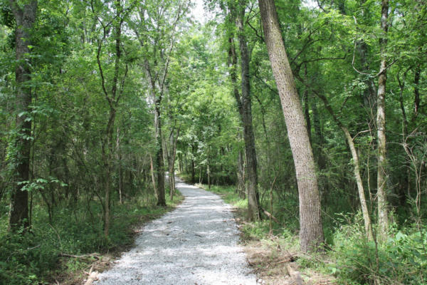 0 BASS RD TRACT 5, BETHPAGE, TN 37022 - Image 1