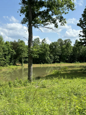 0 CAMPGROUND HOLLOW RD, NUNNELLY, TN 37137 - Image 1