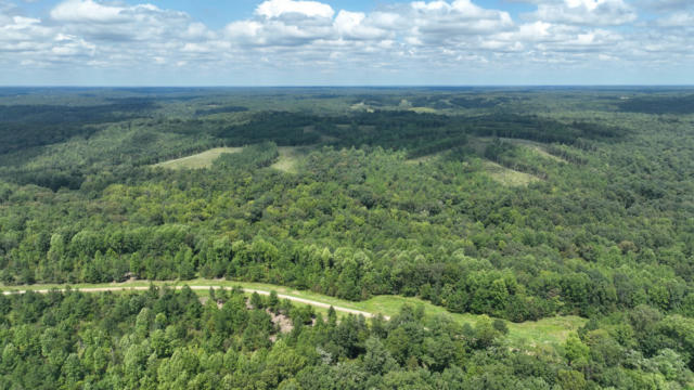 0 FREEDOM RIDGE, INDIAN MOUND, TN 37079 - Image 1