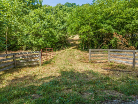 0 RABBIT TRAIL RD, LYNNVILLE, TN 38472 - Image 1