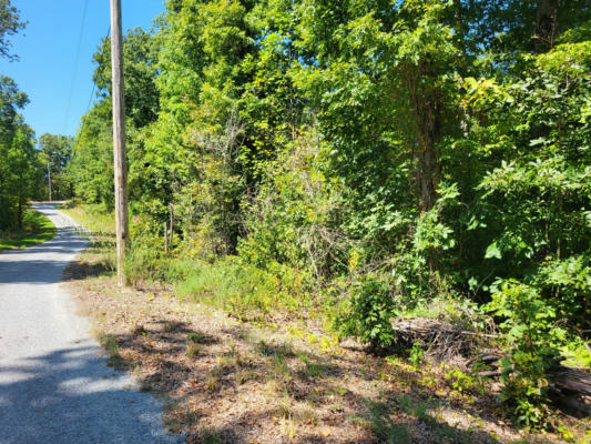 0 RED ASH RD, SUGAR TREE, TN 38380 - Image 1