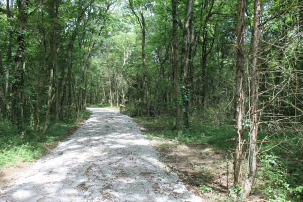 0 BASS RD TRACT 6, BETHPAGE, TN 37022 - Image 1