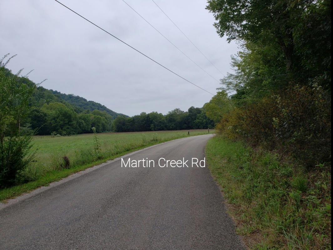 10470 MARTIN CREEK RD, BLOOMINGTON SPRINGS, TN 38545, photo 1 of 21
