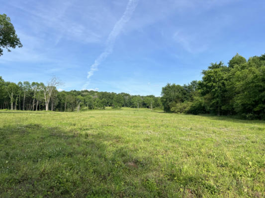 0 CHAPEL HILL PIKE TRACT 1D, EAGLEVILLE, TN 37060 - Image 1