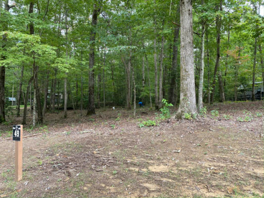 0 DEER LICK TRAIL, MONTEAGLE, TN 37356, photo 2 of 10