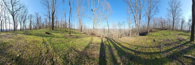 0 FERGUSON HOLLOW RD, BUFFALO VALLEY, TN 38548 - Image 1