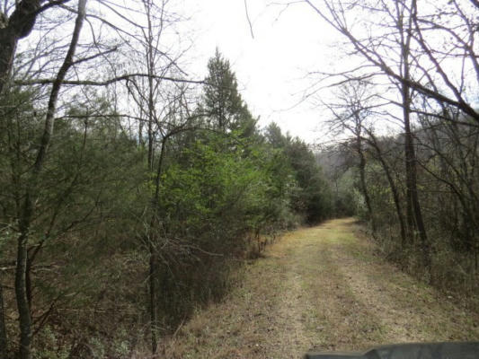 958 DOLLAR HOLLOW RD, PULASKI, TN 38478 - Image 1