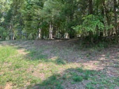 0 SHELTER BRANCH ROAD, CHARLOTTE, TN 37036, photo 4 of 6