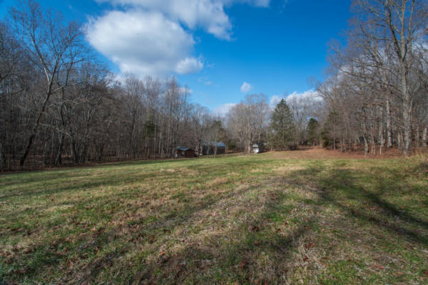 1120 MONTGOMERY COUNTY LINE RD, CUNNINGHAM, TN 37052 - Image 1