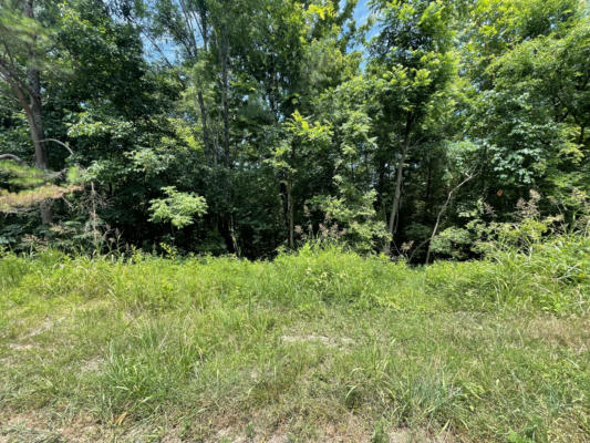0 PARRISH HOLLOW RD, LYNNVILLE, TN 38472 - Image 1