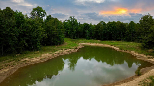 0 CAMPGROUND HOLLOW ROAD, NUNNELLY, TN 37137 - Image 1