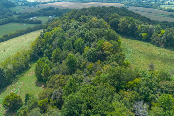 0 GUNTER SMITH RD TRACT 1, LYNNVILLE, TN 38472 - Image 1