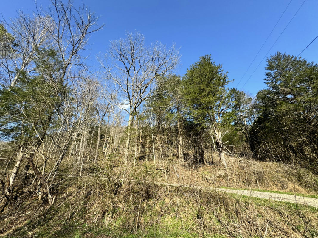 0 DOG BRANCH RD S, PLEASANT SHADE, TN 37145, photo 1 of 15