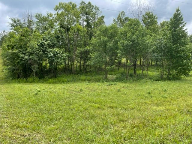 0 MARION RD LOT 2, CUNNINGHAM, TN 37052, photo 1 of 3