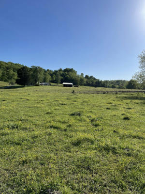 323 ALSUP HOLLOW RD, MINOR HILL, TN 38473 - Image 1
