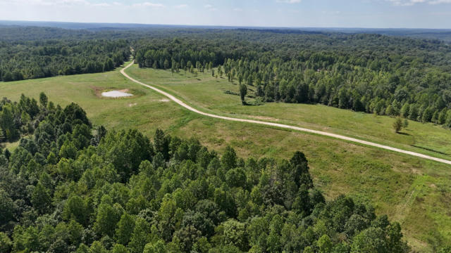 0 FREEDOM RIDGE, INDIAN MOUND, TN 37079 - Image 1