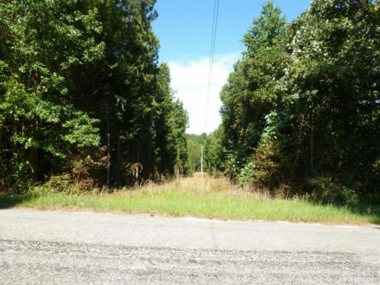 0 FIRE CREEK CUT RD, GUIN, AL 35563, photo 4 of 4