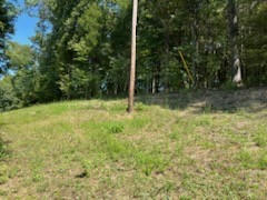 0 SHELTER BRANCH ROAD, CHARLOTTE, TN 37036, photo 5 of 6