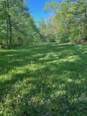0 HOHAMMER RD, HOLLADAY, TN 38341, photo 4 of 6