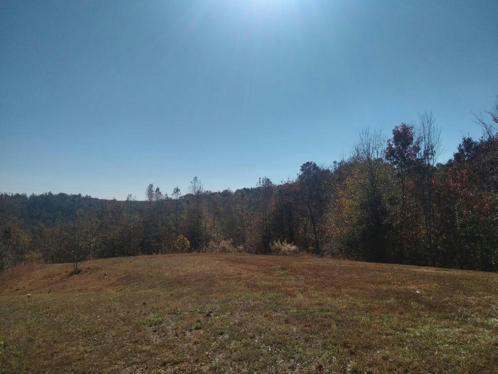 8589 HIGHWAY 128, CLIFTON, TN 38425, photo 1 of 4