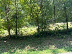 0 SHELTER BRANCH ROAD, CHARLOTTE, TN 37036, photo 3 of 6