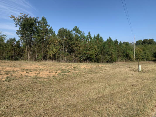 0 HARDIN GRAVEYARD RD, ENVILLE, TN 38332 - Image 1