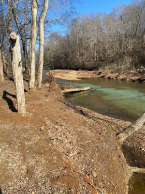 12 LOT OWNERS ROAD, WESTPOINT, TN 38486 - Image 1