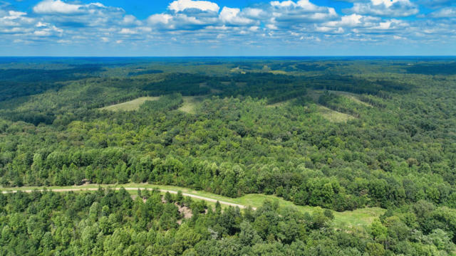 0 FREEDOM RIDGE, INDIAN MOUND, TN 37079 - Image 1