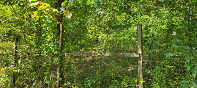 429 INCLINE RD, WHITWELL, TN 37397, photo 4 of 24