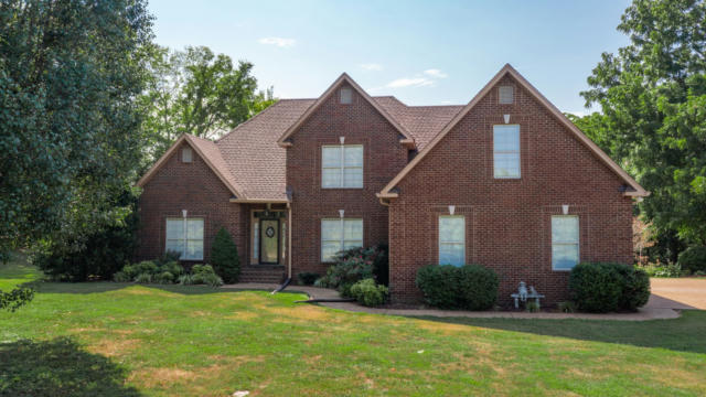 113 SCENIC VIEW LN, SHELBYVILLE, TN 37160 - Image 1