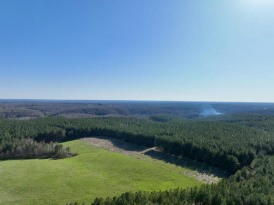 0 HICKORY TRACE RD, NUNNELLY, TN 37137 - Image 1