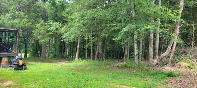 452 THE TRACE, DOVER, TN 37058, photo 3 of 21
