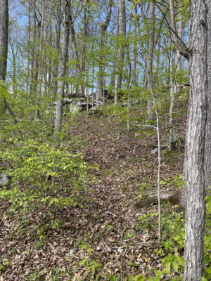 0A PATRICIA CIRCLE, INDIAN MOUND, TN 37079, photo 3 of 12
