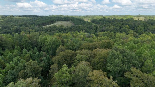 0 FREEDOM RIDGE, INDIAN MOUND, TN 37079 - Image 1